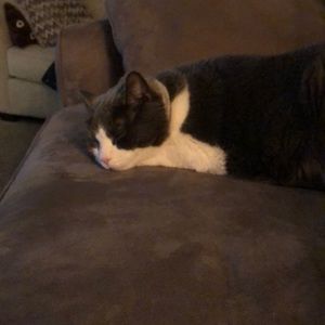 Meet your Posher, Kaitlin